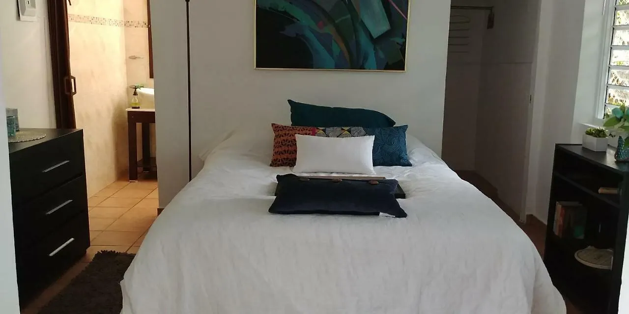 Ocean Park Beach Apartment San Juan Puerto Rico
